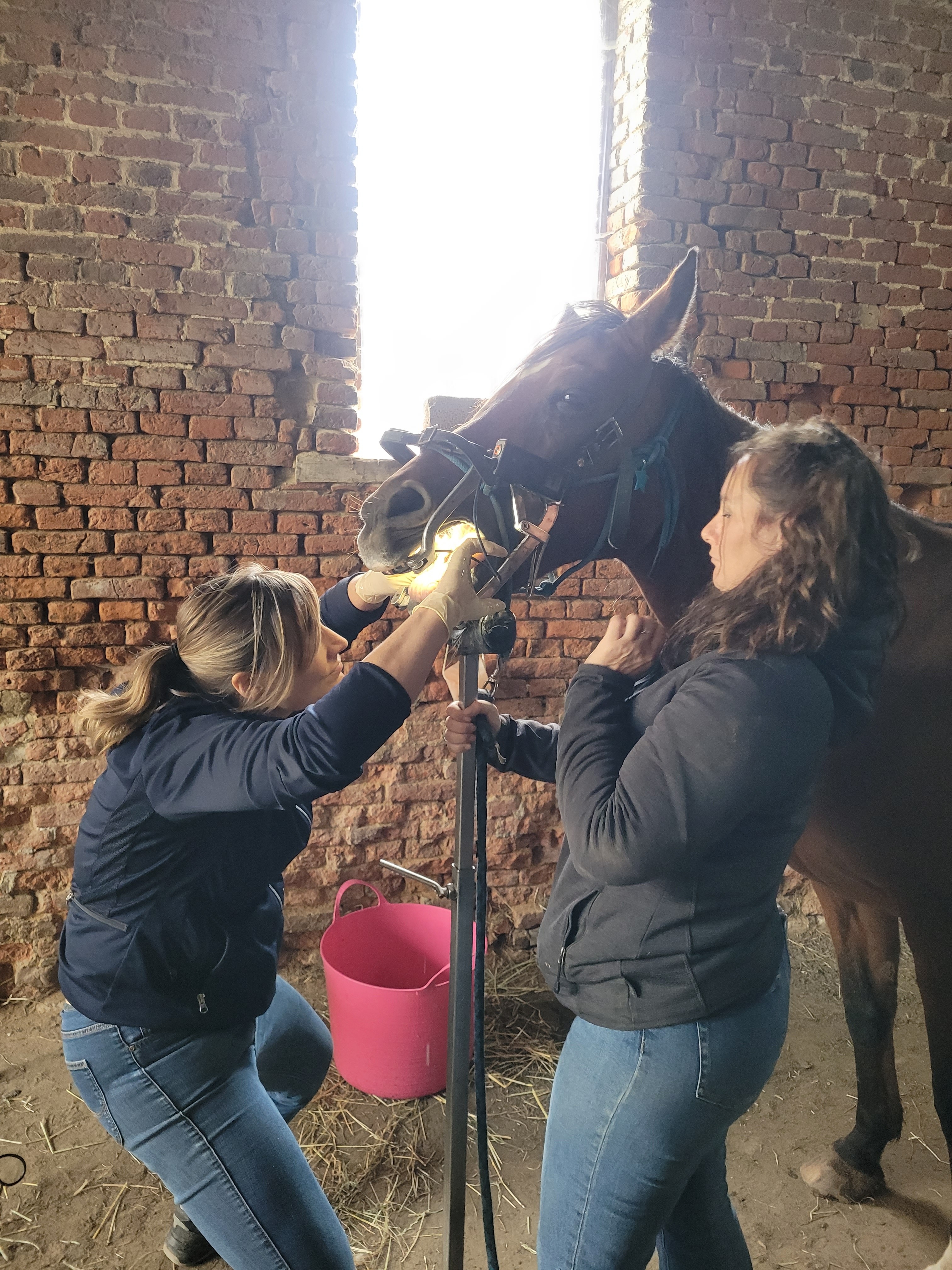 Dentisterie