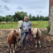 Nath avec quelques poneys